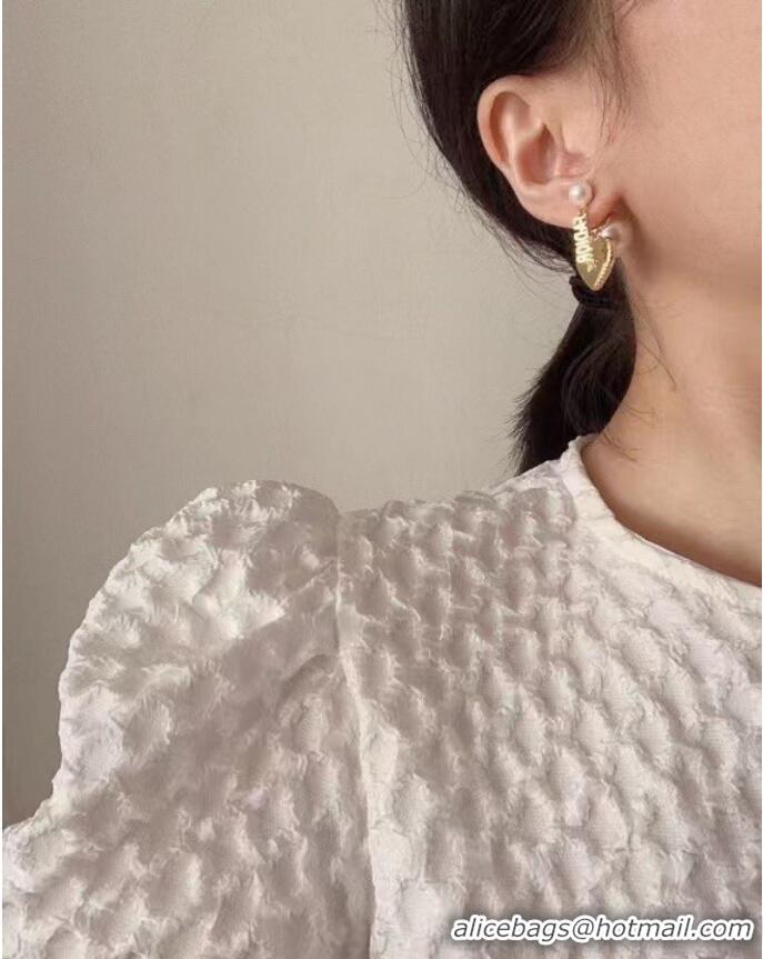 Good Product Dior Earrings CE8080