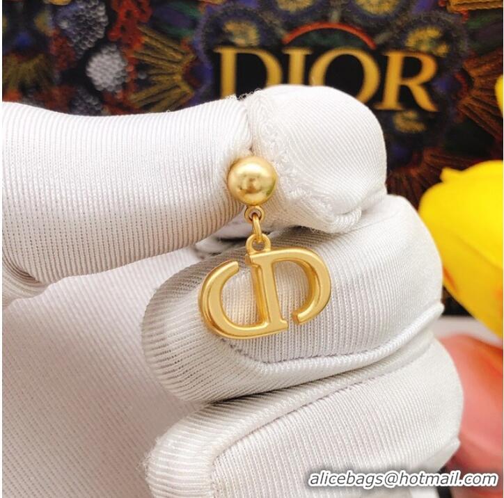 Promotional Discount Dior Earrings CE8096