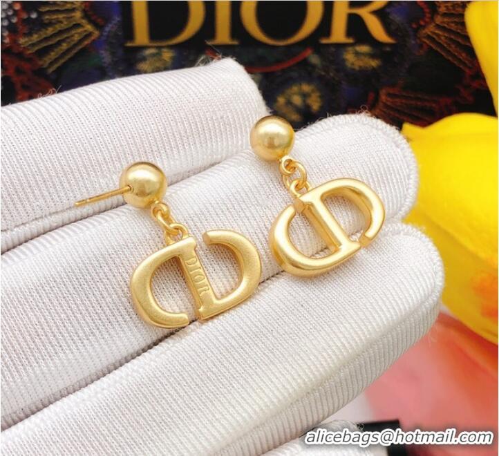 Promotional Discount Dior Earrings CE8096