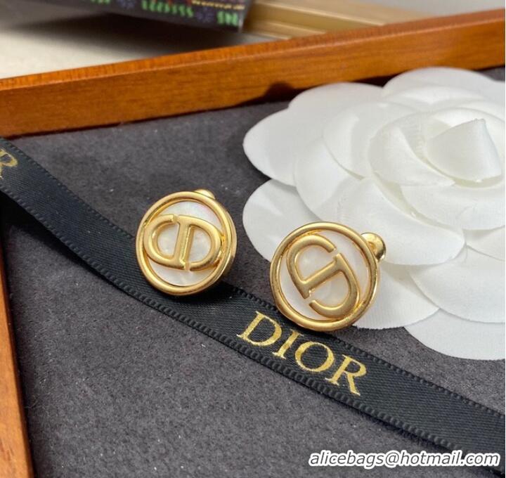 Good Product Dior Earrings CE8148