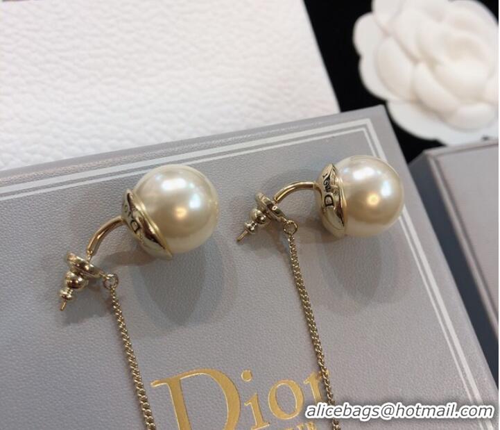 Buy Unique Grade Dior Earrings CE8172