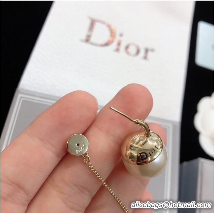 Buy Unique Grade Dior Earrings CE8172