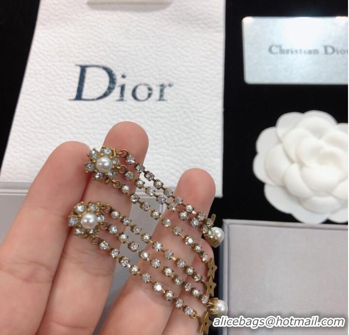  Shop Reasonable Price Dior Earrings CE8173