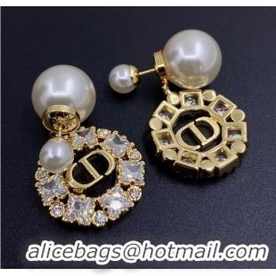 Super Quality Dior Earrings CE8343