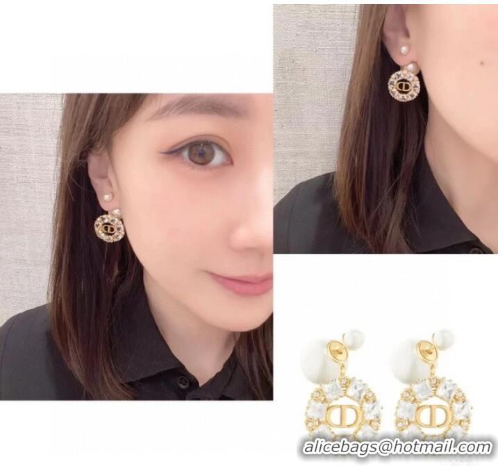 Super Quality Dior Earrings CE8343