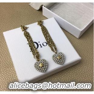 Pretty Style Discount Dior Earrings CE8365