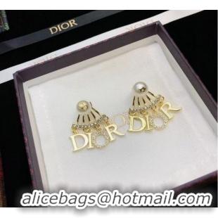 Famous Brand Promotional Dior Earrings CE8522