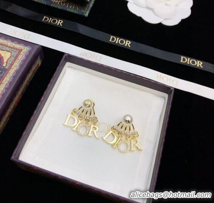 Famous Brand Promotional Dior Earrings CE8522