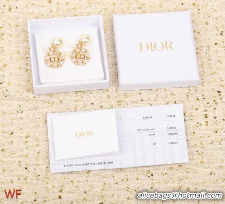 New Release Creation Dior Earrings CE8550