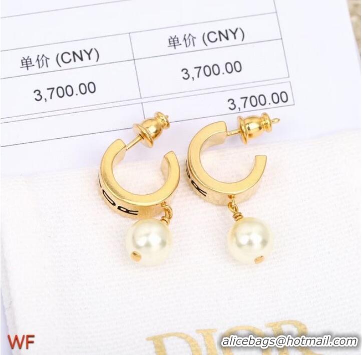 AAAAA Cheapest Dior Earrings CE8551