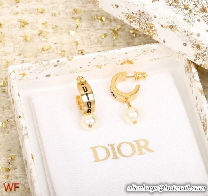 AAAAA Cheapest Dior Earrings CE8551