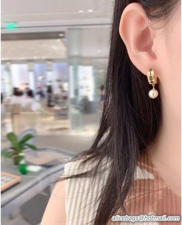 AAAAA Cheapest Dior Earrings CE8551