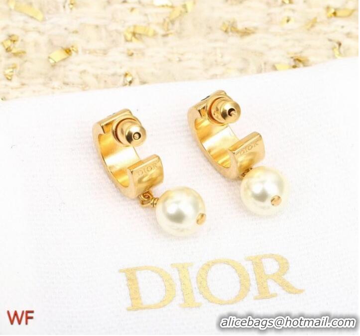 AAAAA Cheapest Dior Earrings CE8551