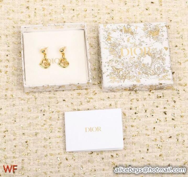 New Product Cheapest Dior Earrings CE8556