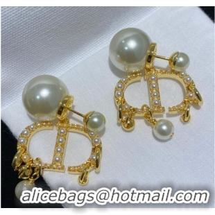 Top Quality Wholesale Dior Earrings &Brooch CE8589