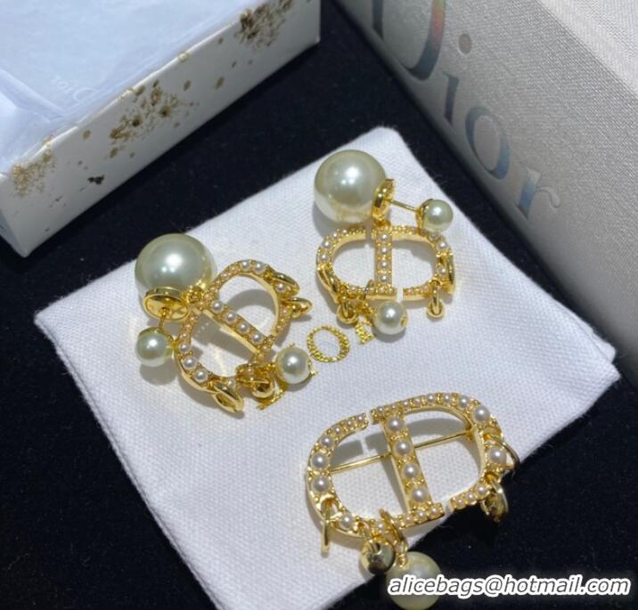 Top Quality Wholesale Dior Earrings &Brooch CE8589