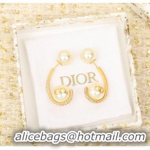 Grade Quality Dior Earrings CE8647