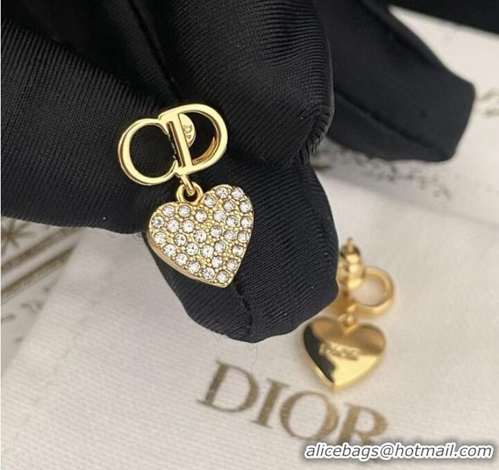 Spot Sumptuous Dior Earrings CE8670