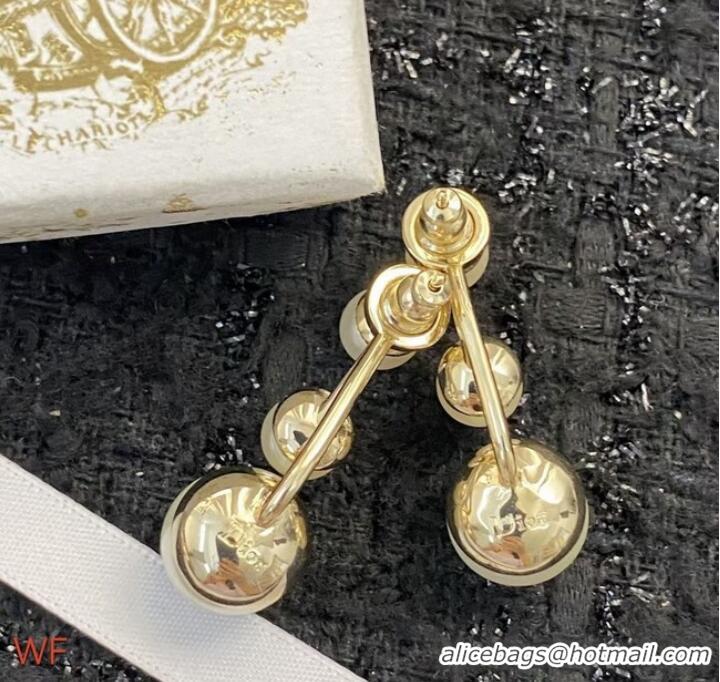 Spot Good Quality Dior Earrings CE8701