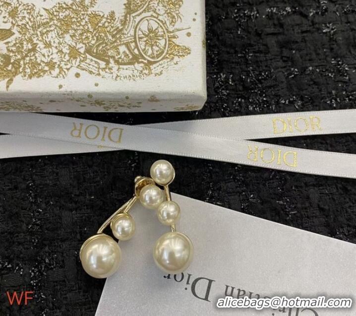 Spot Good Quality Dior Earrings CE8701