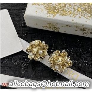 Market Sells Discount Dior Earrings CE8702