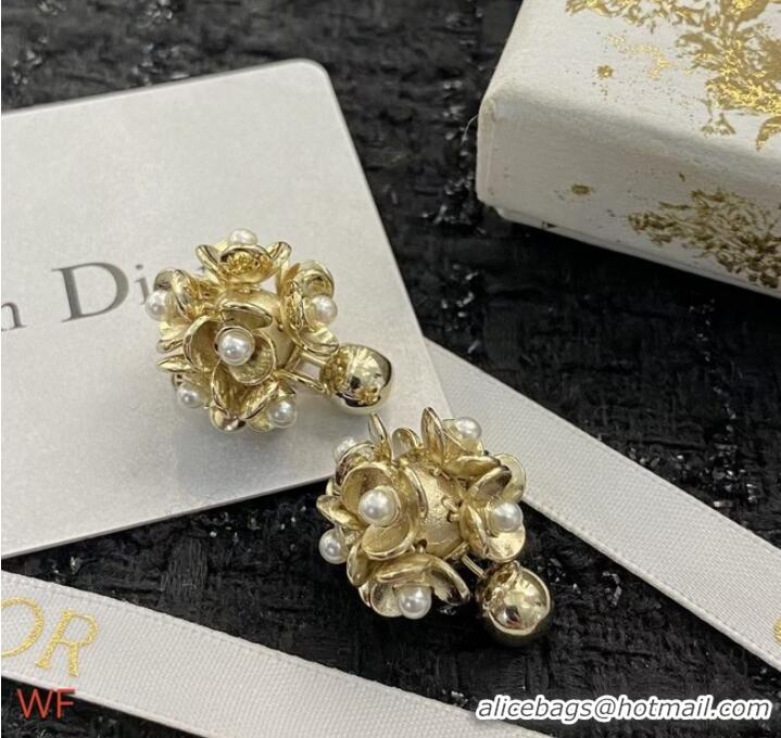 Market Sells Discount Dior Earrings CE8702