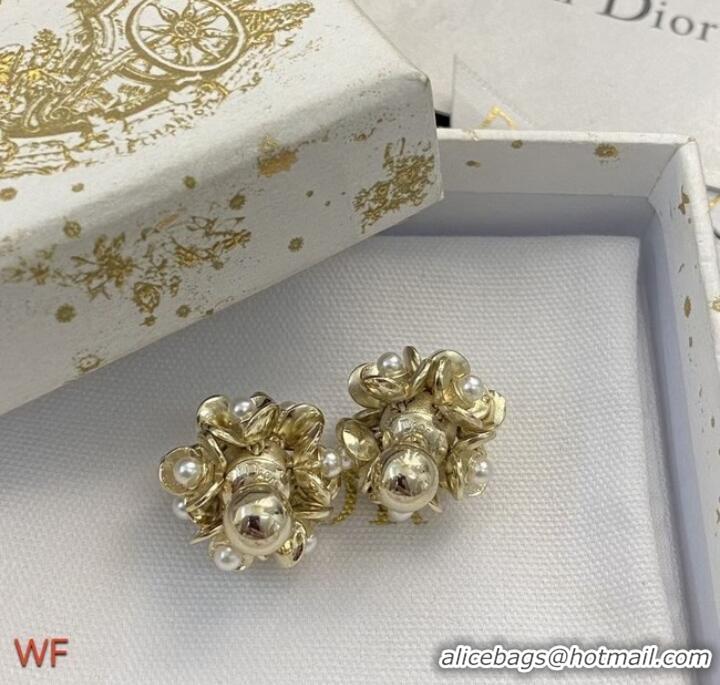 Market Sells Discount Dior Earrings CE8702