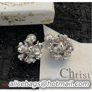 Grade Quality Dior Earrings CE8703