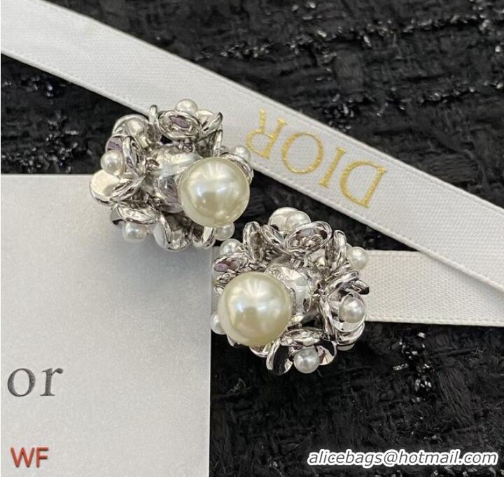 Grade Quality Dior Earrings CE8703