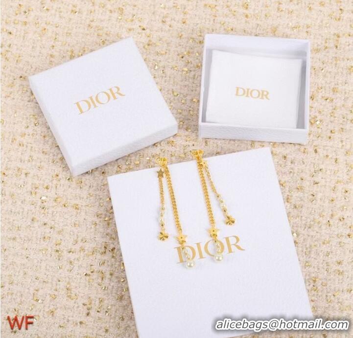 Well Crafted Sophisticated Dior Earrings CE8851