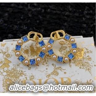 Sophisticated Lower Price Dior Earrings CE8911