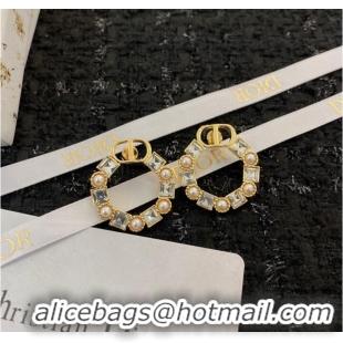 Market Sells Discount Dior Earrings CE8912