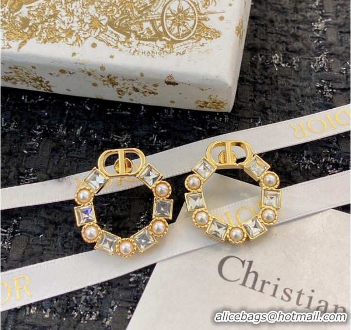 Market Sells Discount Dior Earrings CE8912