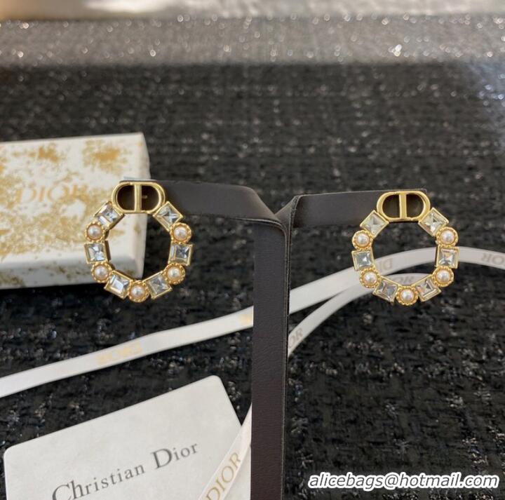 Market Sells Discount Dior Earrings CE8912