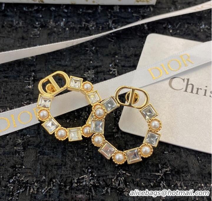 Market Sells Discount Dior Earrings CE8912