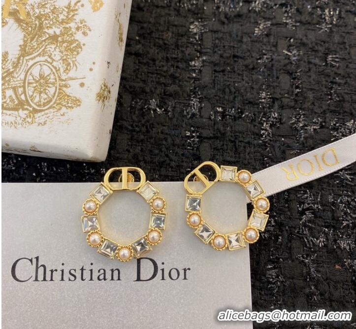 Market Sells Discount Dior Earrings CE8912