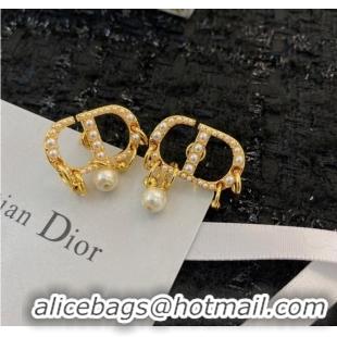 Buy Classic Discount Dior Earrings CE8913