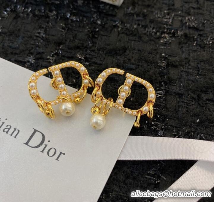 Buy Classic Discount Dior Earrings CE8913