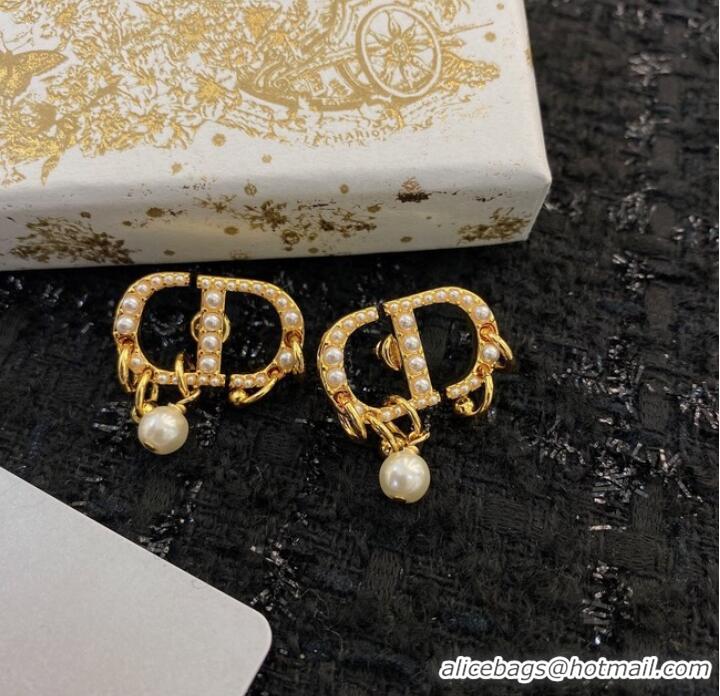 Buy Classic Discount Dior Earrings CE8913