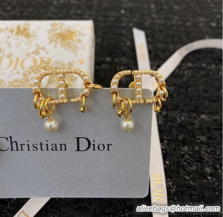 Buy Classic Discount Dior Earrings CE8913