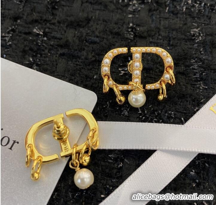 Buy Classic Discount Dior Earrings CE8913