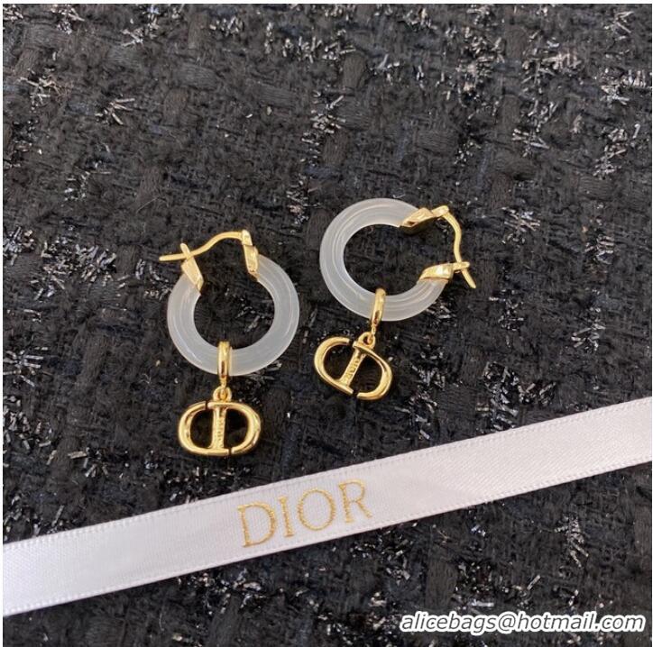 Reasonable Price Promotional Dior Earrings CE8933 Red