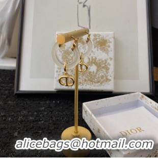 Buy Inexpensive Dior Earrings CE8933 White