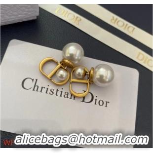 Original Cheap Dior Earrings CE8954