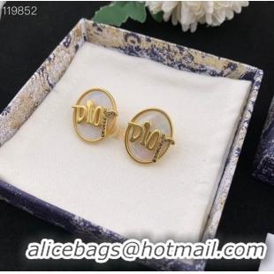 Top Grade Dior Earrings CE8976