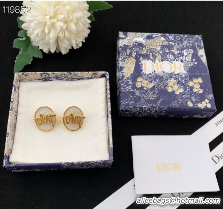 Top Grade Dior Earrings CE8976