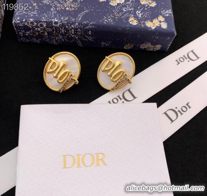 Top Grade Dior Earrings CE8976