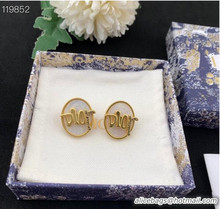 Top Grade Dior Earrings CE8976