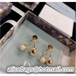 Specials Refined Dior Earrings CE9003