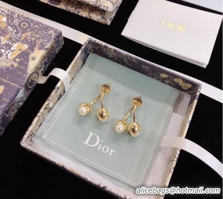 Specials Refined Dior Earrings CE9003